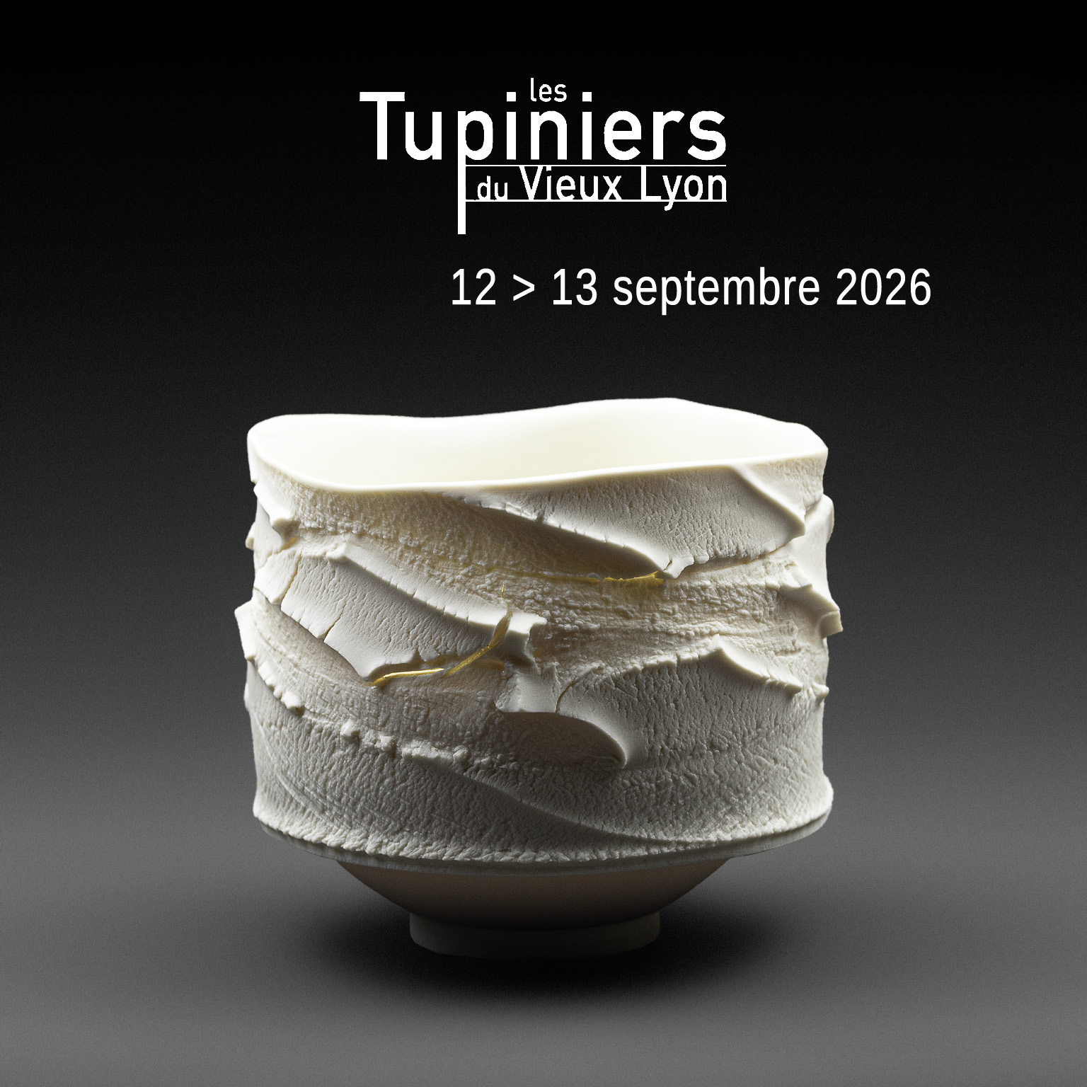 Les Tupiniers du Vieux Lyon 12 et 13 septembre 2026 | Eric Faure Les Tupiniers du Vieux Lyon 12 et 13 septembre 2026 | Eric Faure